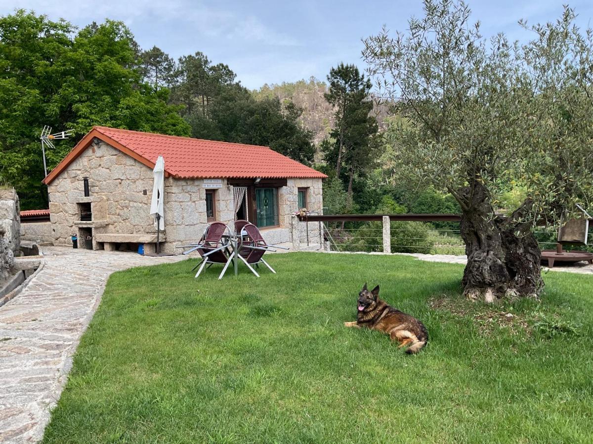 Holiday home Da Man Da Moura *